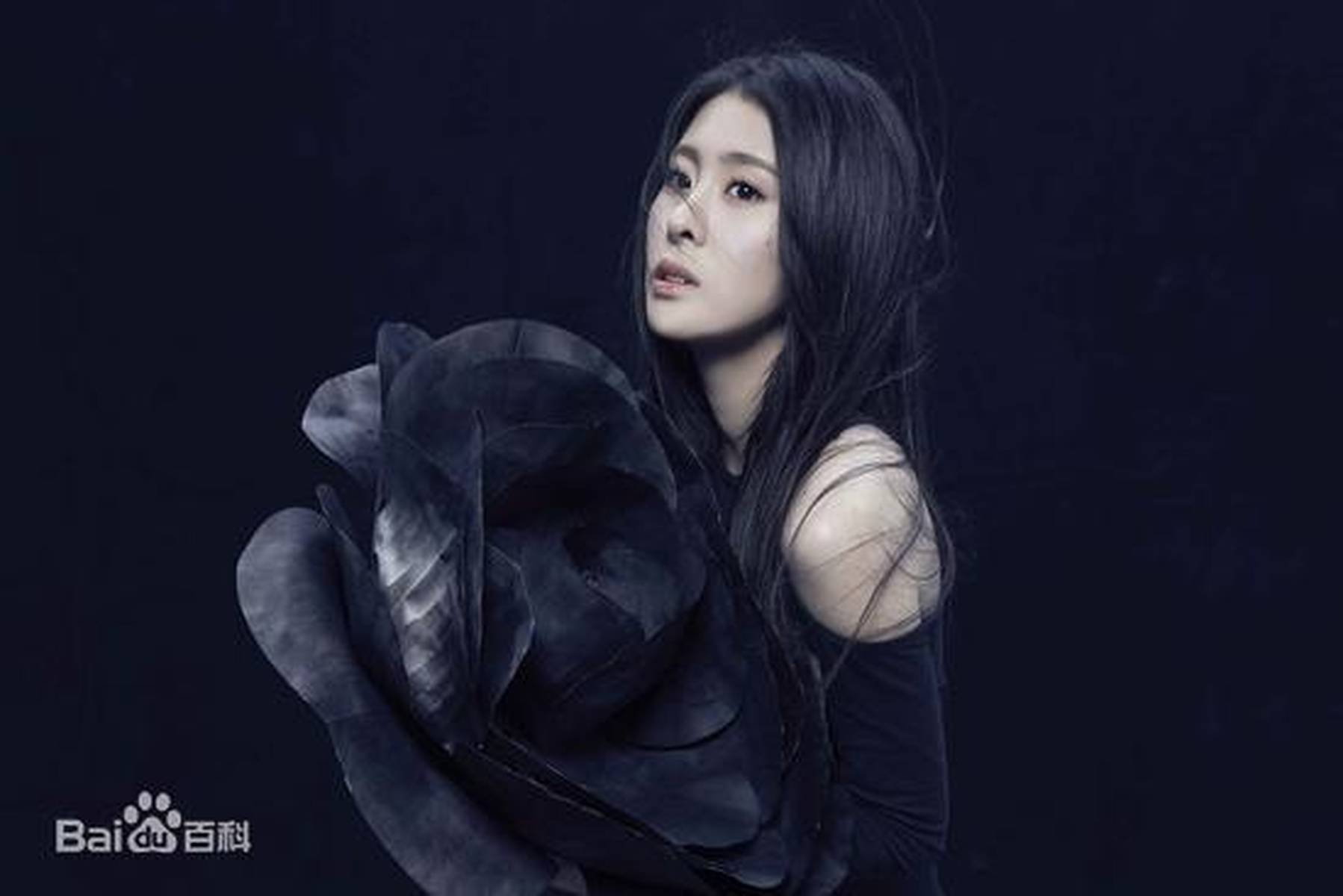 美女明星 张碧晨 的图集