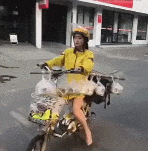 原创搞笑美女动态图,那么普通又那么自信?搞笑妹子gif