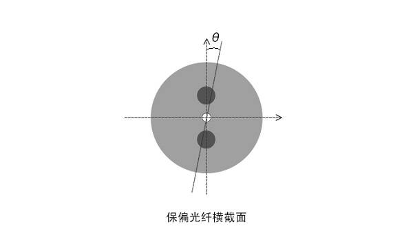 保偏光纤横截面