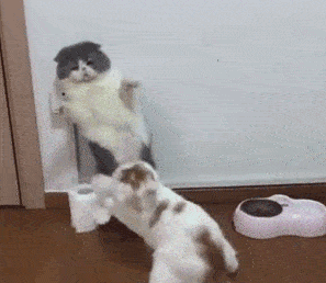 幽默笑话:1,二货老婆老是睡前玩手机,然后直接把手机塞枕头底下睡觉.