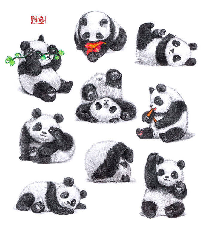 国宝熊猫怎么画?大熊猫怎么画?