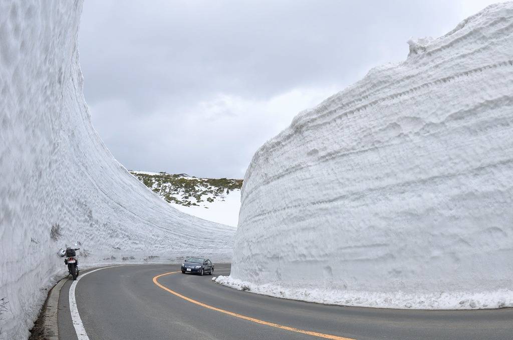 横亘日本宫城与山形的"藏王eco line"开通!9米雪墙震撼来袭