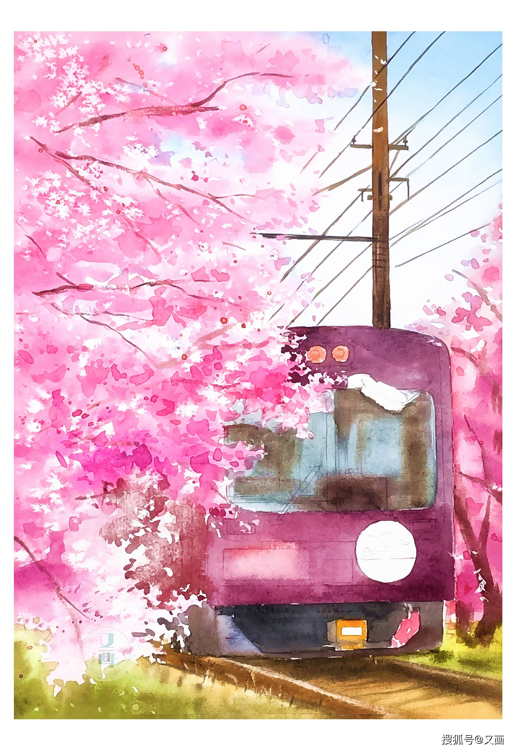 水彩风景樱花列车绘画步骤分享