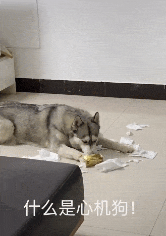 那么当你也被它迷惑住的时候呢?