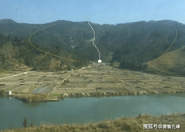原创农村墓地旁为何大多种柏树?
