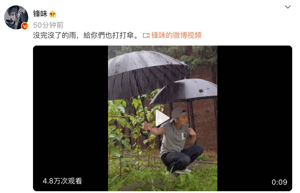 谢霆锋暴雨为菜打伞 蹲地撑伞眉头紧锁画面搞笑