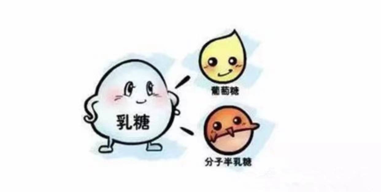 乳糖不耐受宝宝如何进行母乳喂养