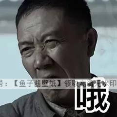 亮剑表情包合集