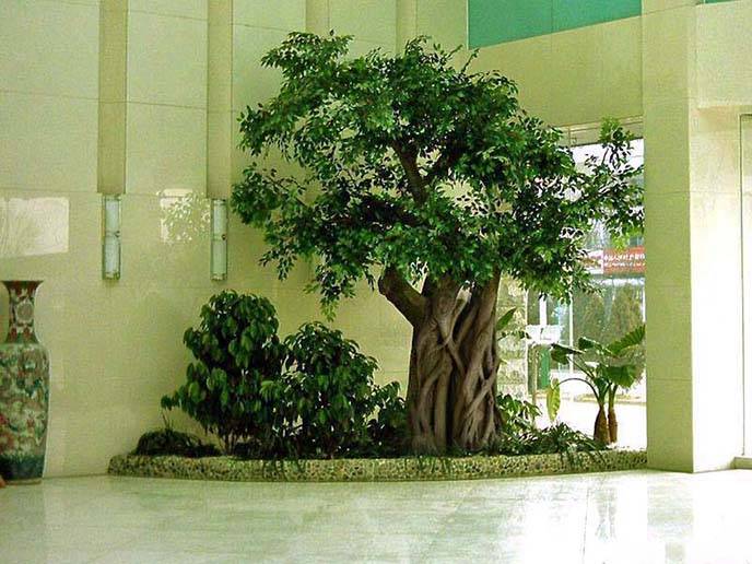 2021年仿真榕树制作新工艺,作出高端的仿真榕树