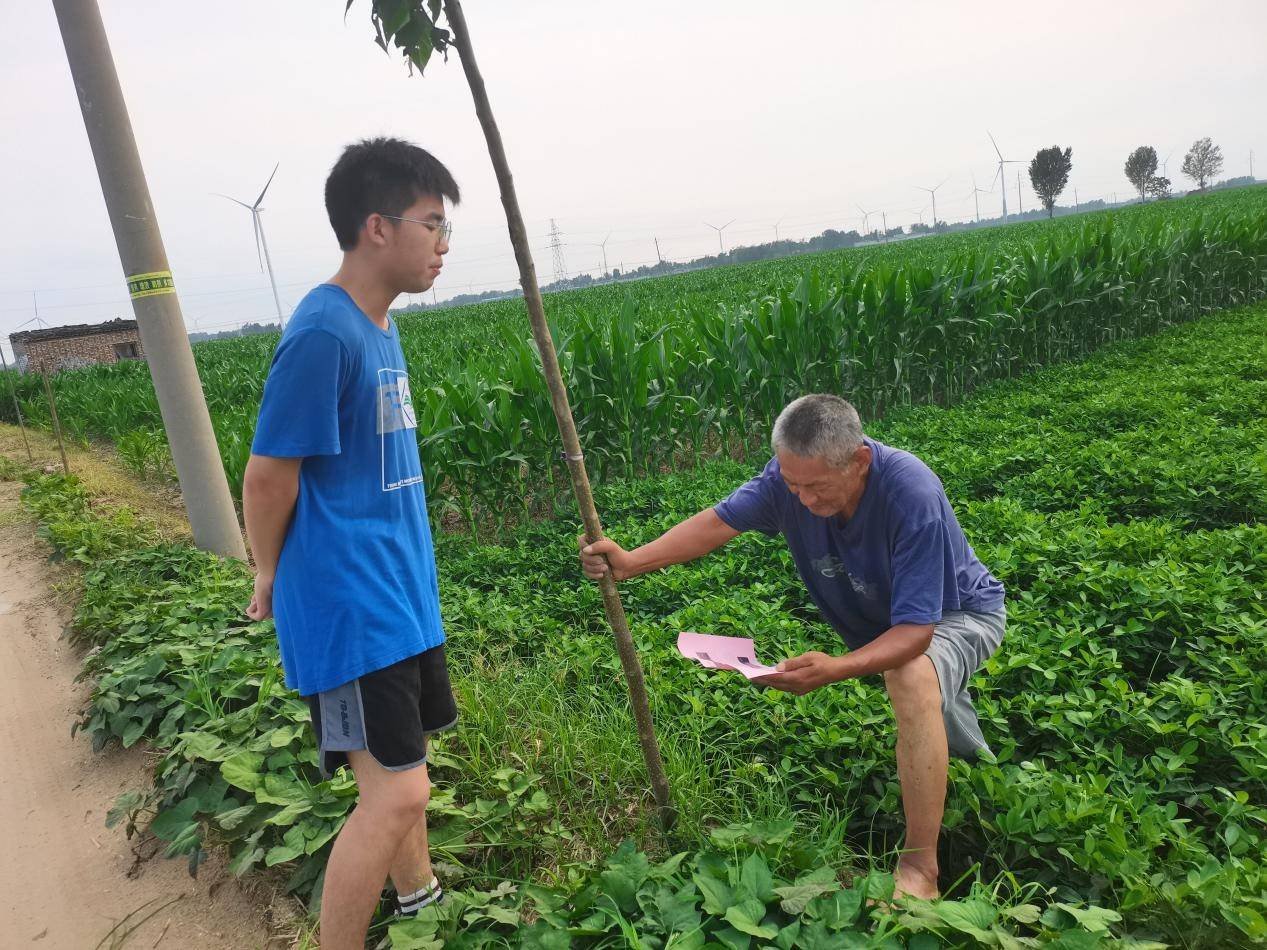 河南学子三下乡:奔赴乡村,助力乡村振兴_实践