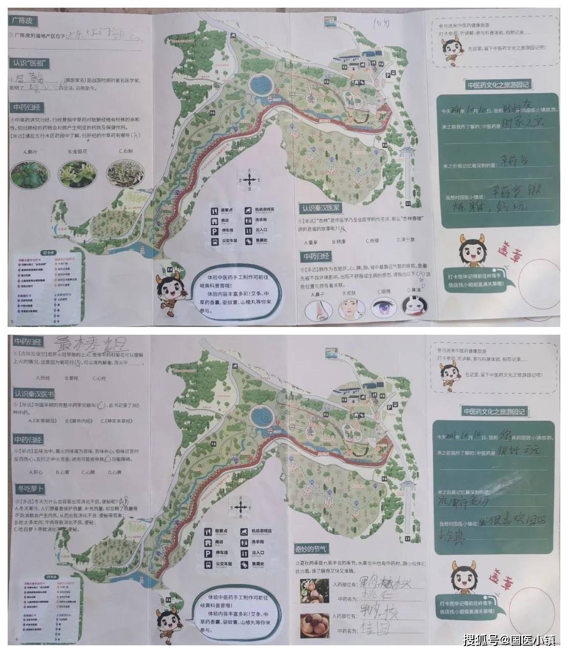 国医小镇活动回顾2021年从化区全国科普日之中医中药健康科普行活动