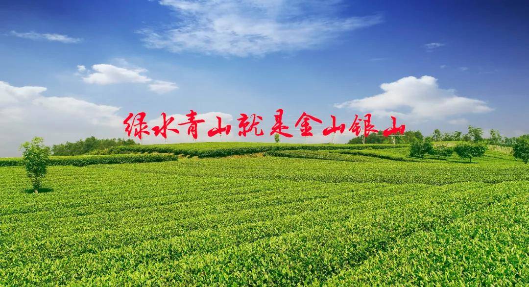这里,将打造成都的大美小城,生态福地_蒲江