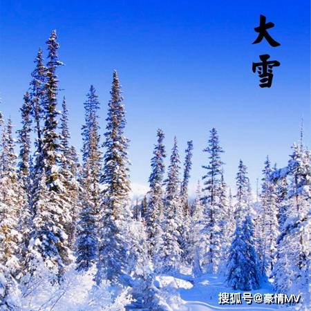 2021大雪二十四节气唯美图片大雪节气发朋友圈