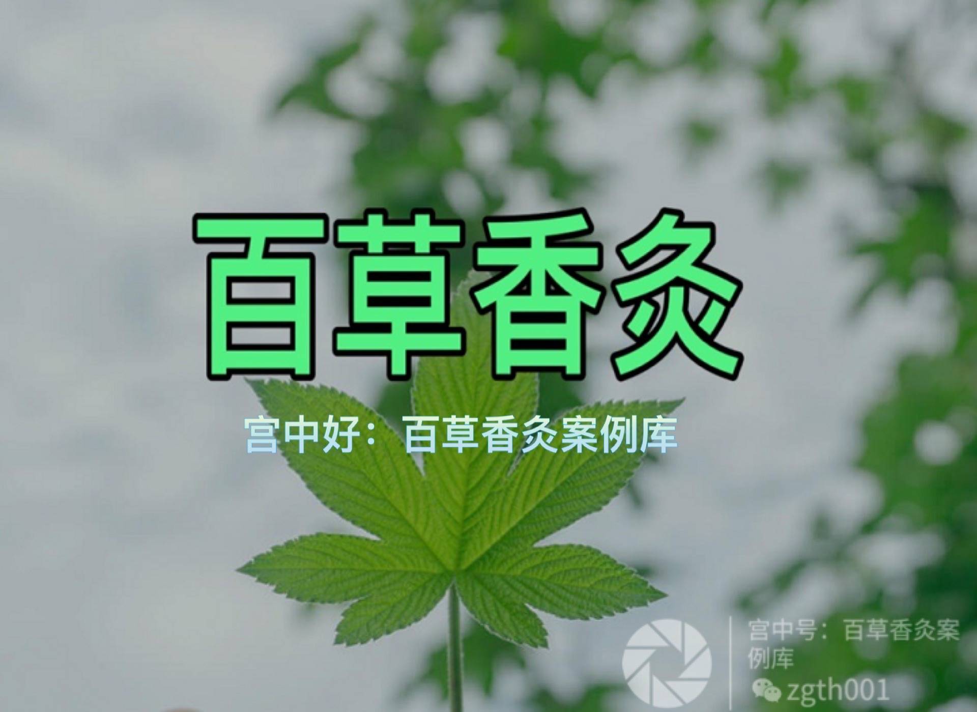 百草香灸每晚的分享会议是全国灸友的课堂_反应_身体_大姐