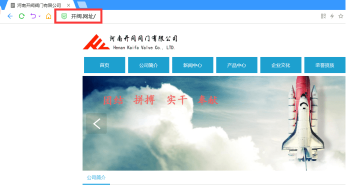 网址",让访问河南开阀阀门有限更