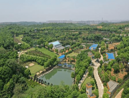 滑翔伞,漂流或烧烤团建,篝火晚会还是垂钓彩绘做陶艺_山庄_农庄_餐饮