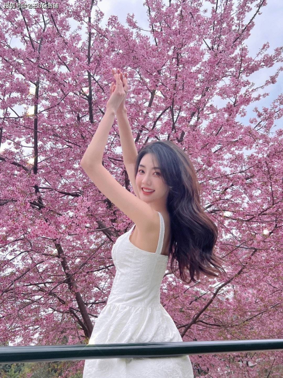 花丛佳人,花色不如美人色-沐风文化