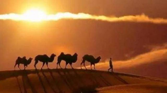 �Ĵ��Ļ��Ź��У�ӡ�ȺͰ������ڣ�Ϊ��ֻ�����й���