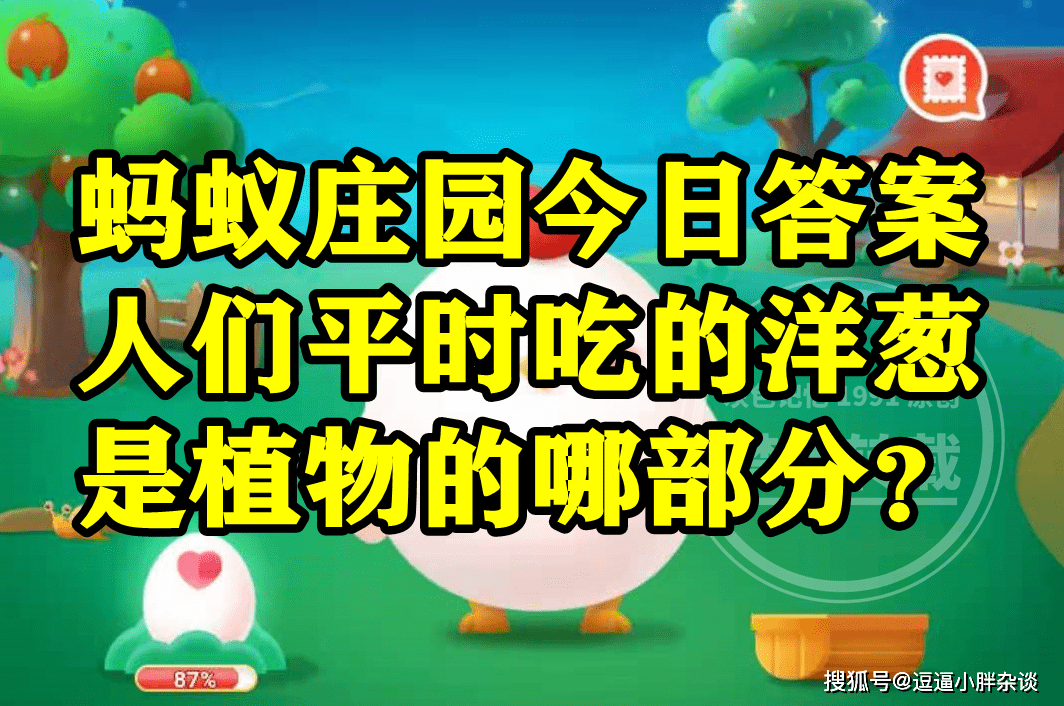 人们日常平凡吃的洋葱是动物的叶仍是茎呢？蚂蚁庄园谜底