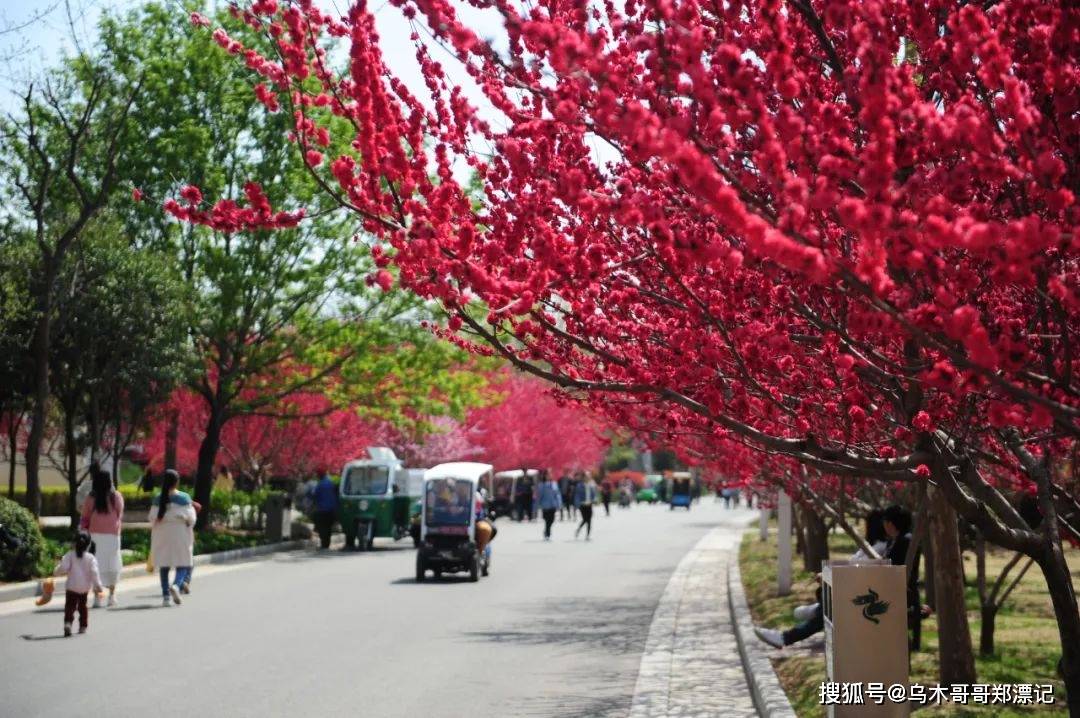 3月18日郑州绿博园问花节美意启幕！