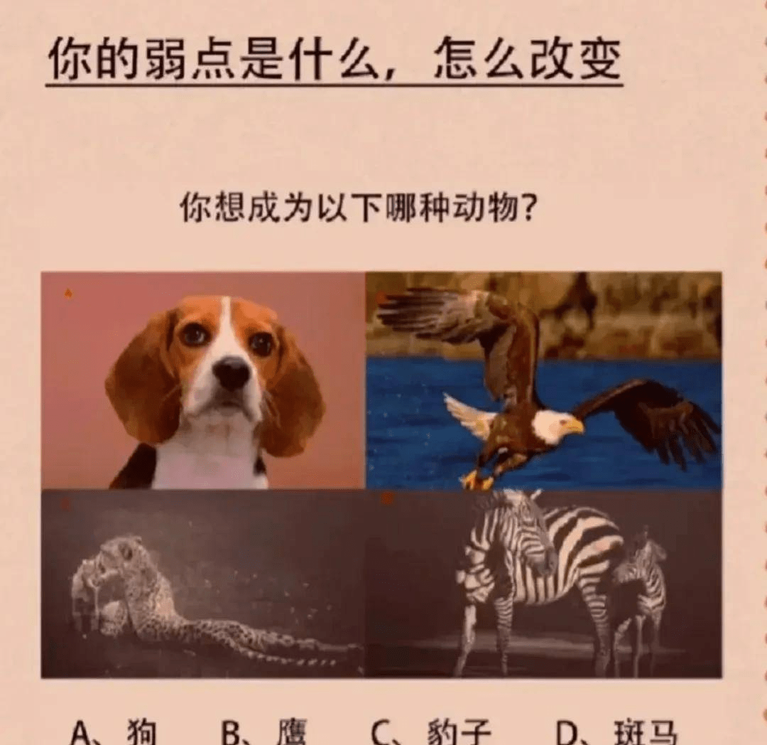 心理测试: 测测你的弱点是什么？你想成为以下哪种动物？