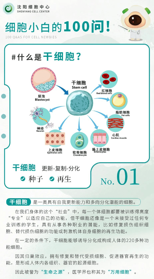 细胞小白100问之第一问《什么是干细胞》