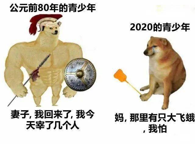 「肌肉 doge 与小废狗」梗图