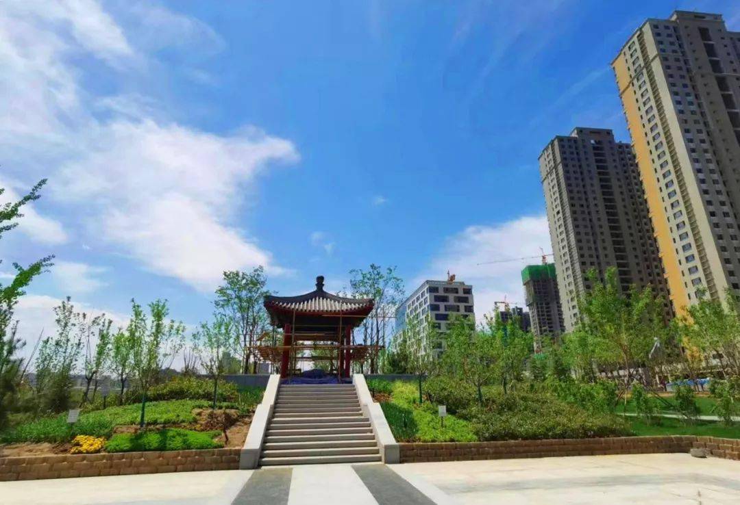 美如画!实拍改造后的菏泽环堤公园,期待你的影像大作!