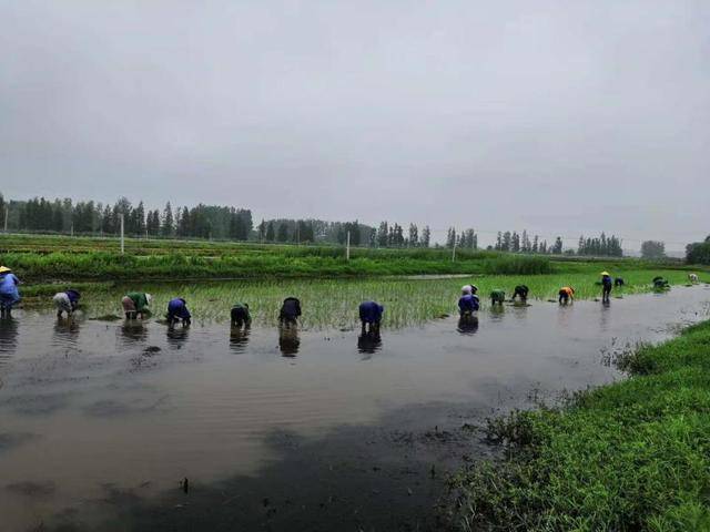 肥西三岗人口_肥西蓬莱路大桥(3)