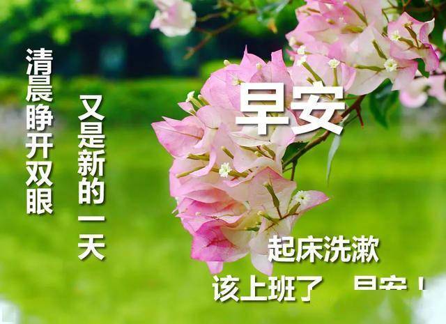 大家早上好,新的六月新的开始,早上好图片祝福;早安
