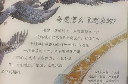 大神们求解梦，探索梦境背后的深层含义与心理启示