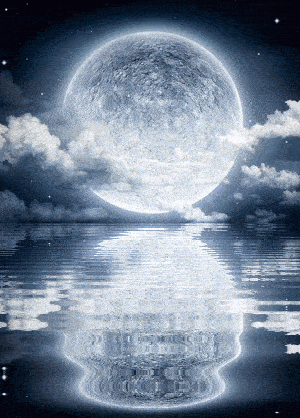 300_418 竖版 竖屏