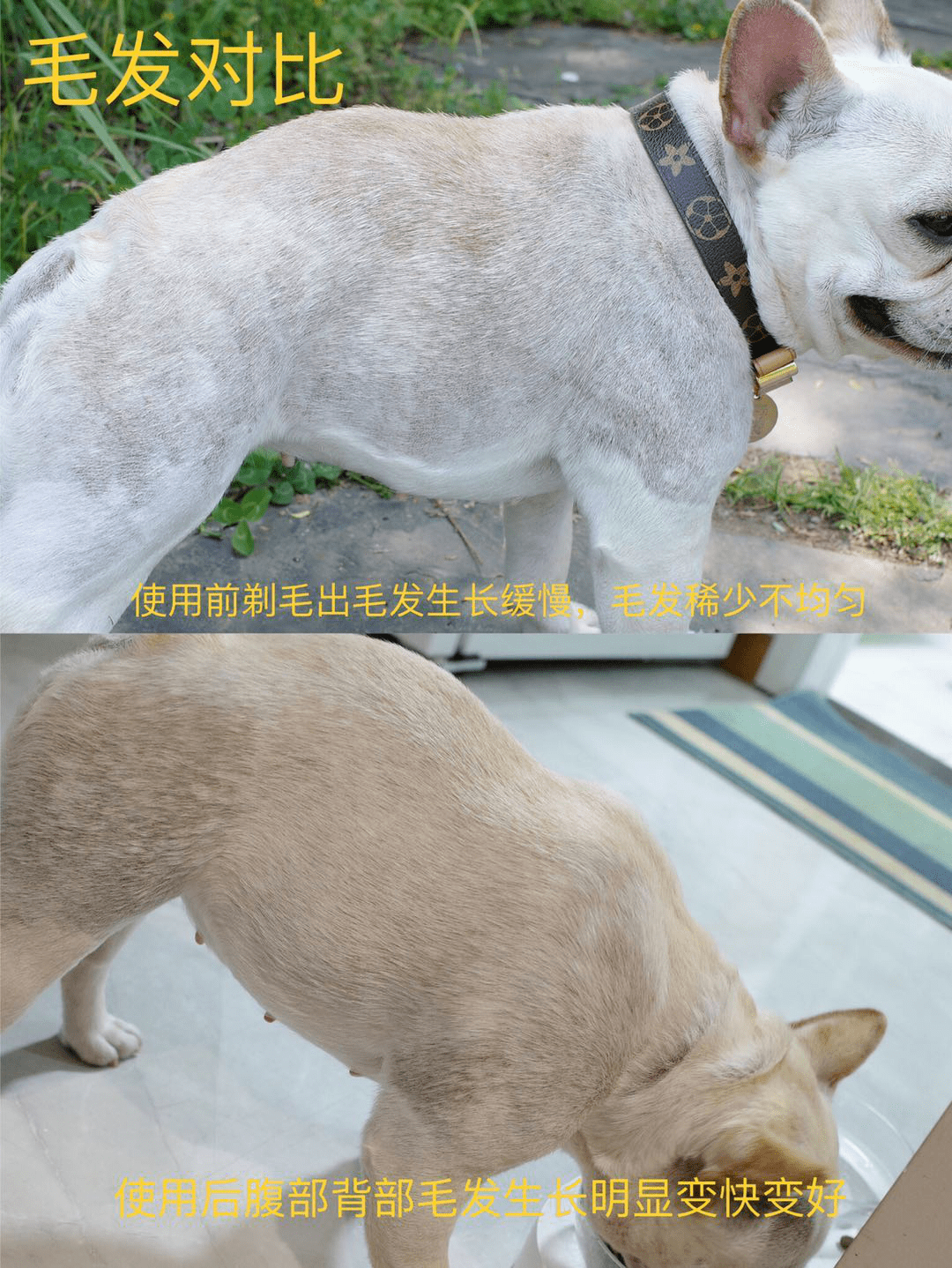 a4d8ea0dd5364b9aa27214193c2015fb.png
