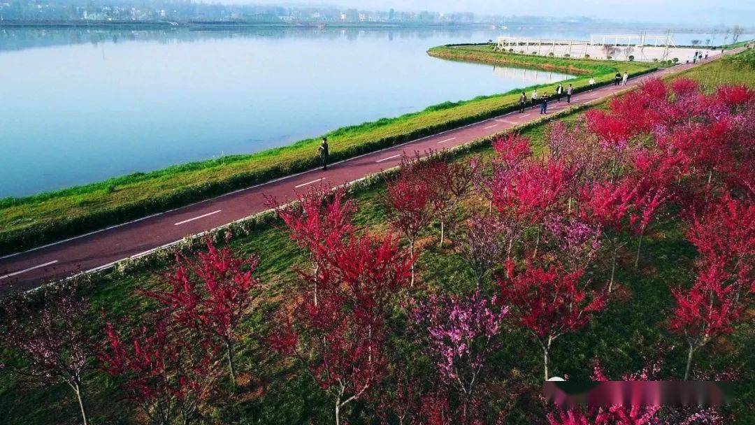 汝阳县有多少人口_汝阳县地图