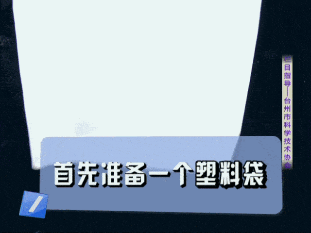 生活实验室 | 清洁毛绒玩具不用水?原来还可以这么做