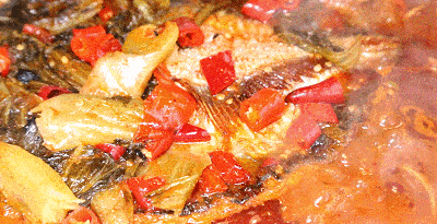 无油烟健康又美味 吃货的小驴都受不了美食诱惑 主动上钩了,吃鱼去啦!