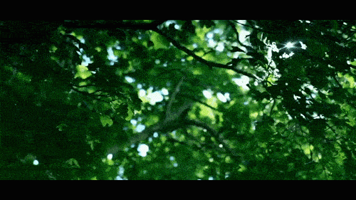 沿着竹海大道漫步, 两侧是茂密的绿树, 目之所及, 皆是一抹苍翠, 真