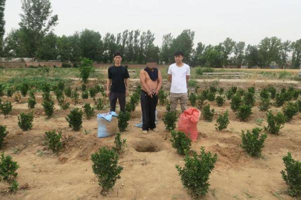 洛阳警方打掉两个盗挖古墓葬的犯罪团伙，抓获
