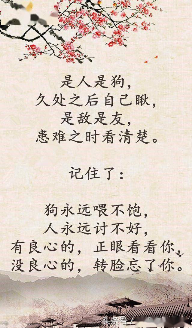 电子琴简单曲谱为了谁(2)
