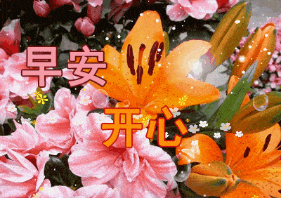 6月最新微信群发早上好漂亮问候鲜花图片动态带字 清晨一句美好的祝福