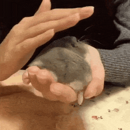 夏天来了,又到了收获