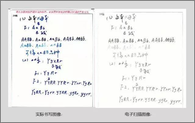 转给中高考学生你的试卷扫描到电脑上是什么效果