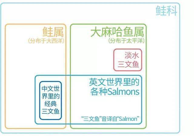 欣源|或带孩子去店里吃了海鲜，会感染血吸虫吗？从菜场买回的鱼和菜会带虫吗？——血吸虫（3）欣源说 | 孩子玩了脏水