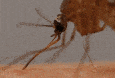 e54cafe2fee8470ca29f83738d5e439c.gif