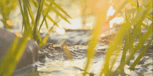 各地降水充足芒种时节雨量充沛是二十四节气