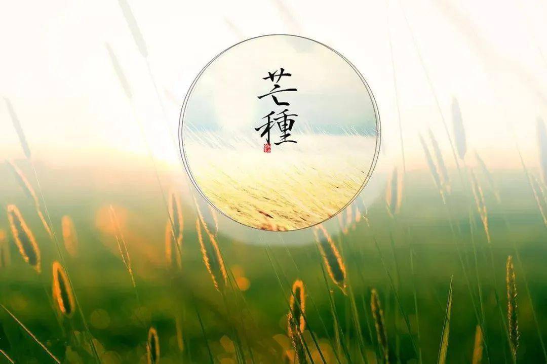 五个字的国风名字 44751718114e49bca21194b95688aef9.jpeg