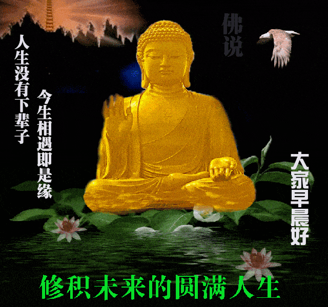 似水流年,如花美眷;人活一世,花开花落,早安