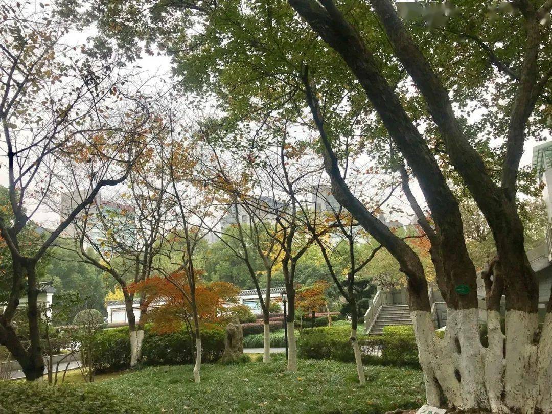 强基|学军中学的强大基因在哪里？60多人被北大、清华提前“相中”