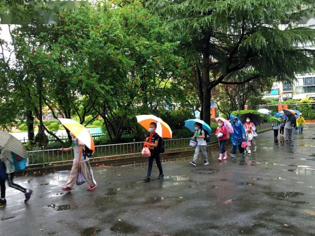 复学啦下雨啦小巴辣子打伞啦生活即教育润物细无声