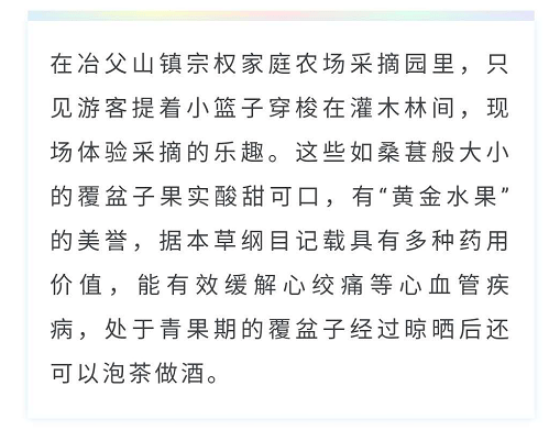 树莓简谱_树莓图片
